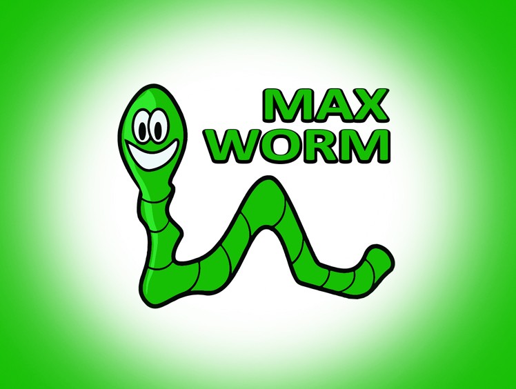 maxworm.online