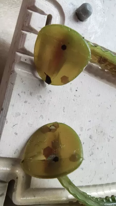 Дракончик 3