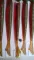 Fish Tail 2.8
