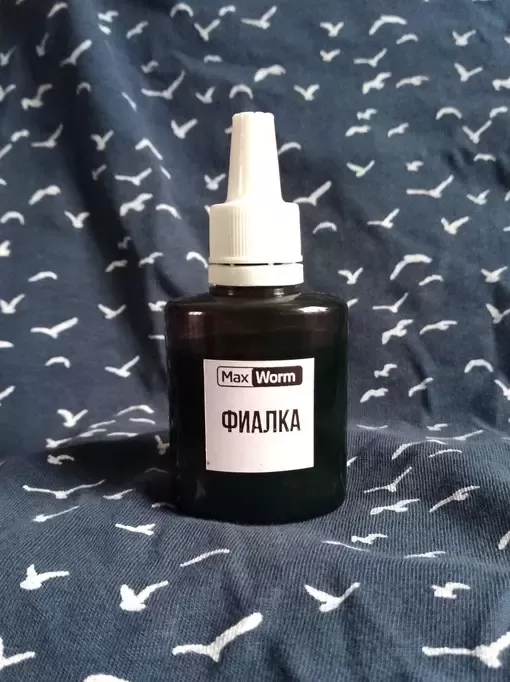  Фіалка