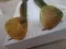 Awaruna 4