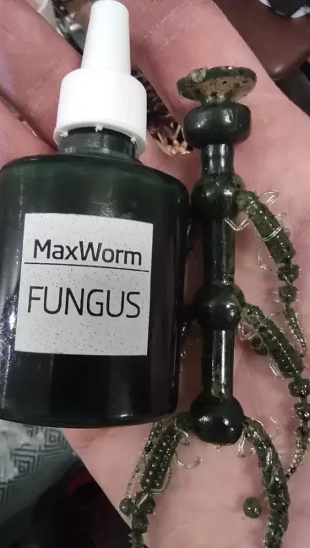 FUNGUS