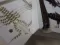 Mosya 45