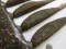 Molix Ra Shad 50