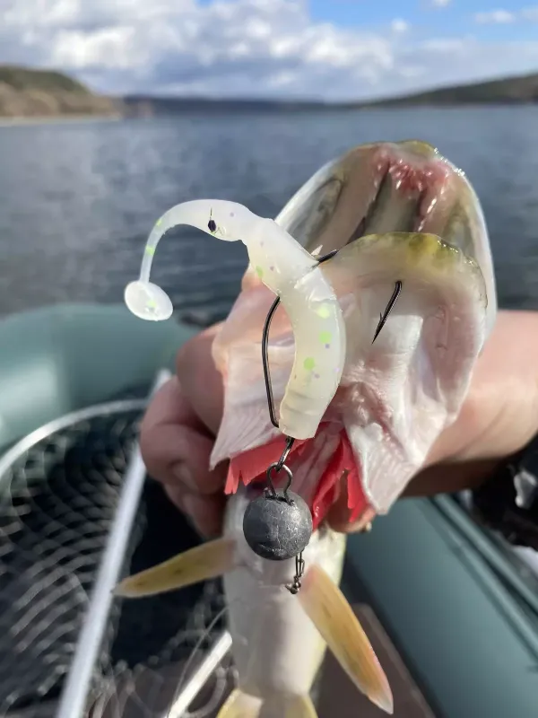 Swing bait 3.5