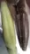 Sawamura One'up Shad 5