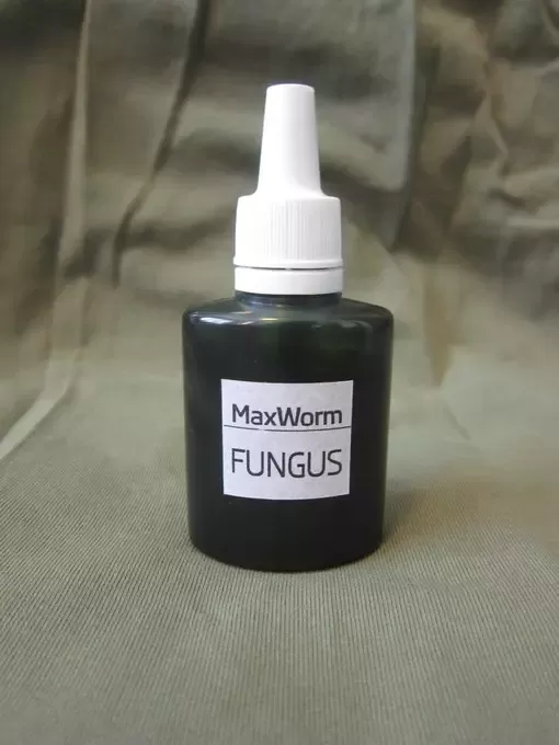 FUNGUS