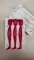 Sawamura One'up Shad 3.5